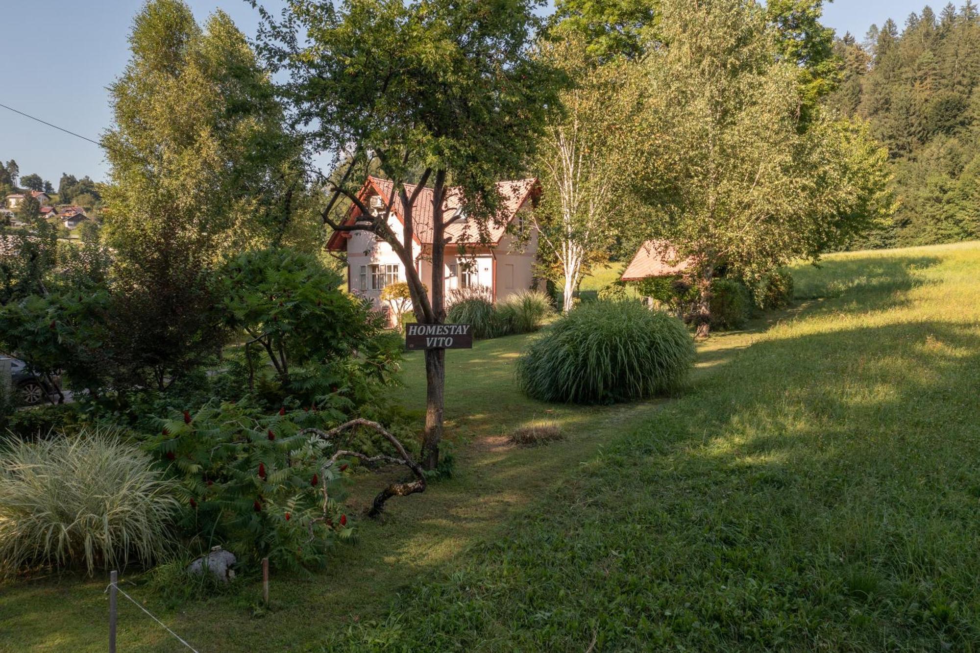 Homestay Vito By Lake Bled Buitenkant foto