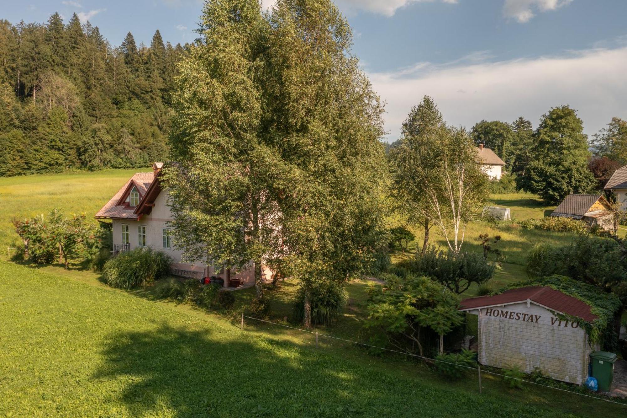 Homestay Vito By Lake Bled Buitenkant foto