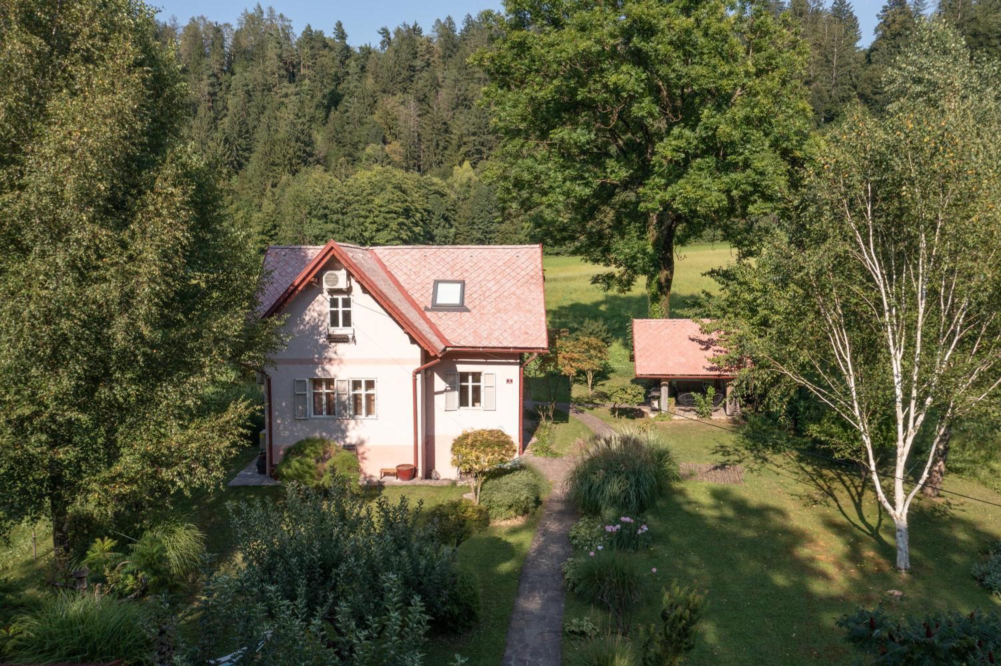 Homestay Vito By Lake Bled Buitenkant foto