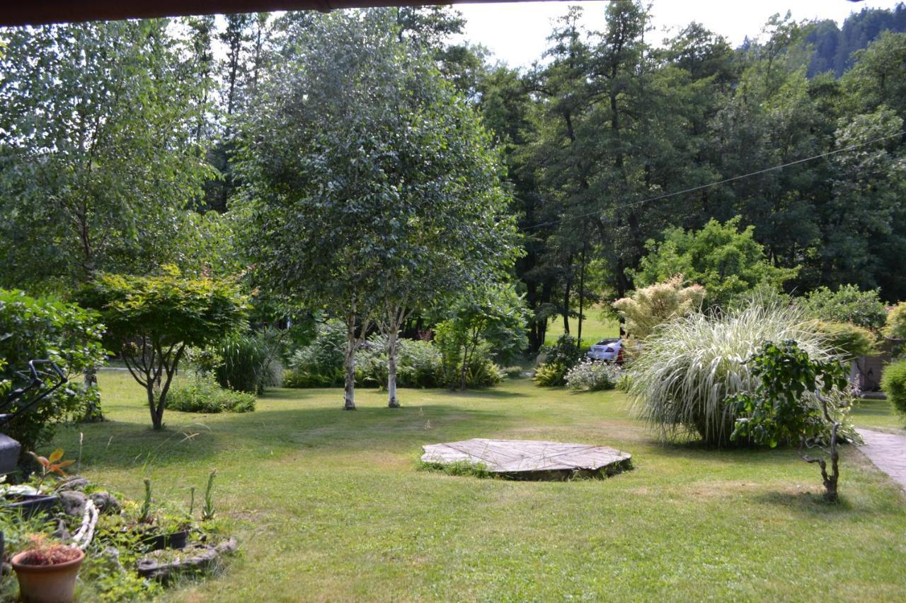 Homestay Vito By Lake Bled Buitenkant foto
